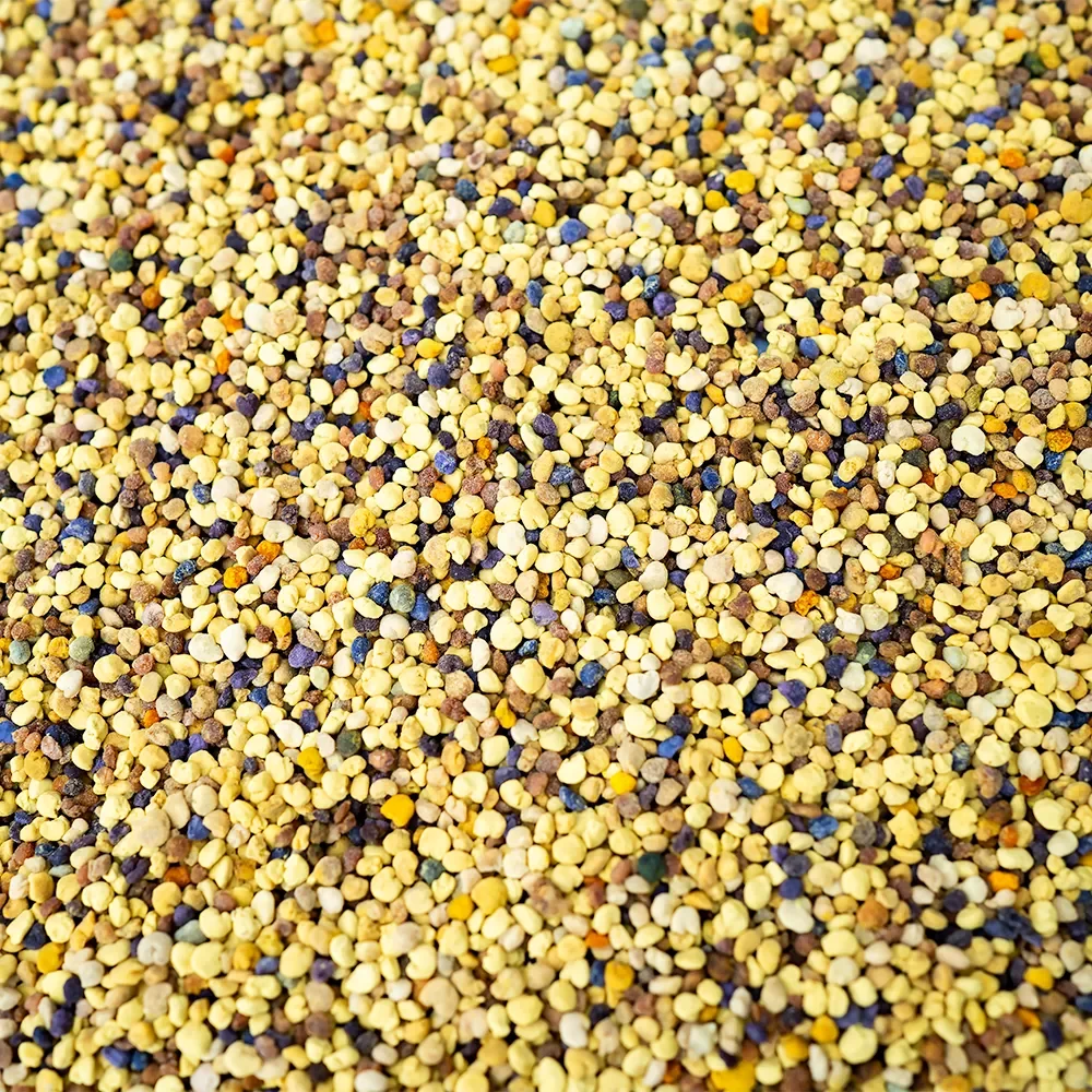 Pyłek pszczeli suszony w niskiej temperaturze - dlaczego sposób suszenia ma znaczenie?